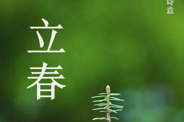 今年什么时候立春 立春是几月几日2024