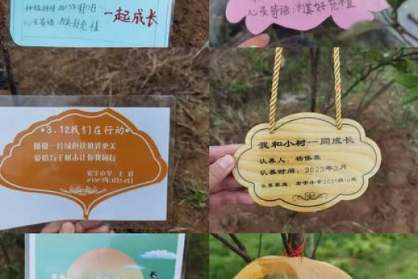 2021植树节是几月几日 植树节是几月几号2021