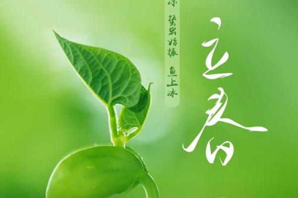 2021年立春怎么躲春 躲春禁忌与注意事项