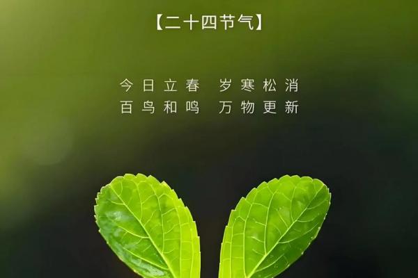 立春是几点几分 2024年立春几点几分打春