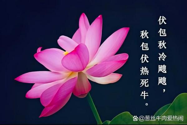 2023年立秋是几点几分几秒 今年立秋准确时间几点几分