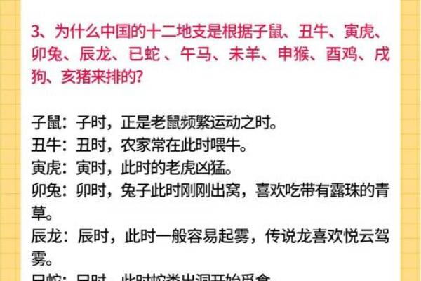 2022年立春是五九尾还是六九头 立春与数九关系图解2022