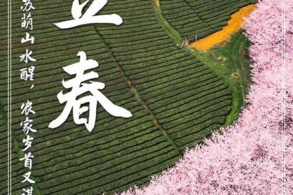 2022年立春几点 2022年立春是几点几分 2022年立春几点 2022年立春是几点几分