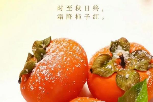 霜降是几月几号 霜降是农历哪一天