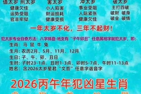 立春以后出生的孩子属什么 立春后孩子属相怎么算