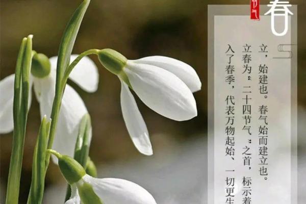 2024立春是几月几日几点立春 2024年立春是哪一天农历
