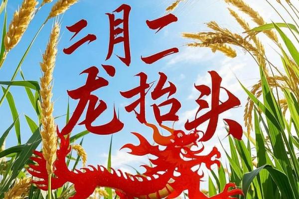 龙抬头几月几号2024 龙抬头剪头发最佳时间2024