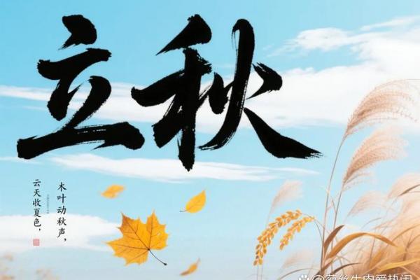 2023年几点立秋 今年立秋是几点几分