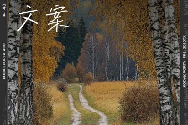 2023立春节气经典祝福语朋友圈文案 2023立春文案创意九宫格