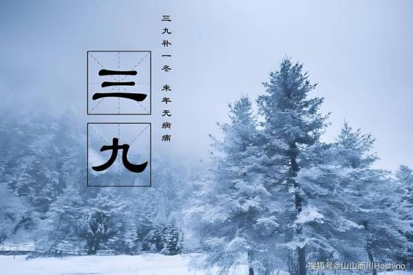 三九天是几月几号2024 2024年三九从哪天开始算