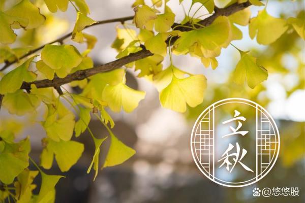 2023年立秋准确时间几点几分 今年立秋是几点几分开始