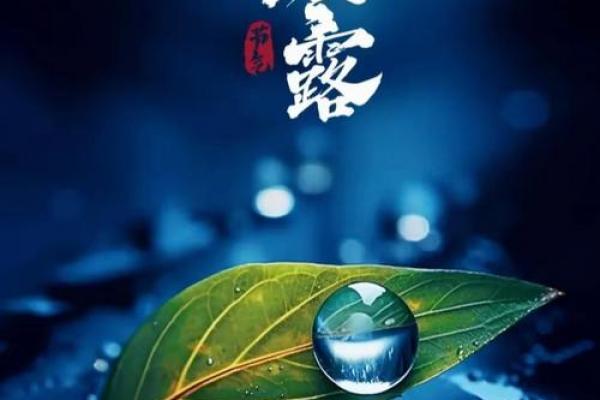 寒露是几月几号 寒露是哪一天农历 寒露是几月几号 寒露是哪一天农历