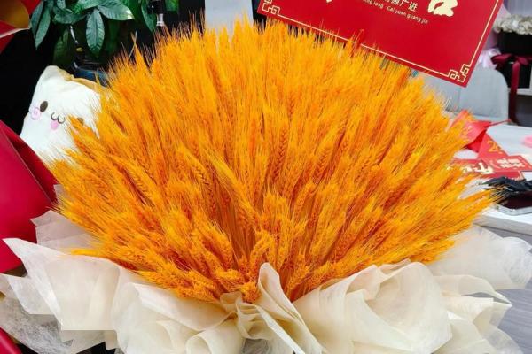 11月开业吉日推荐,这三个日子最适合开张 11月开业吉日推荐,这三个日子最适合开张