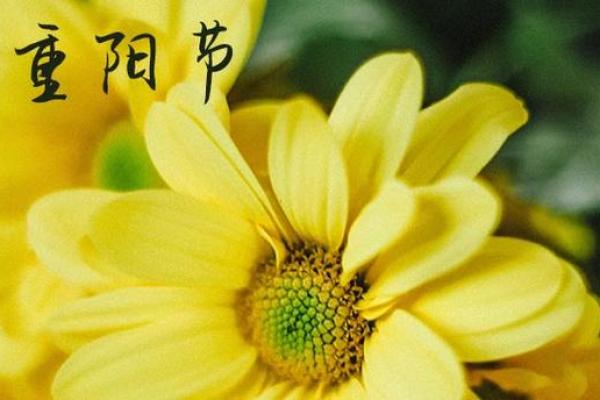 2023年重阳节是几月几号 今年重阳节是哪一天