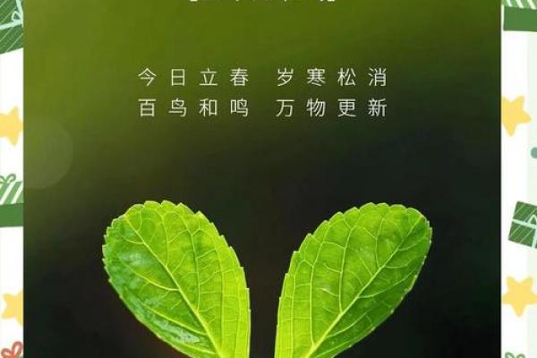 立春是2024的几月几日 2024年立春是几号