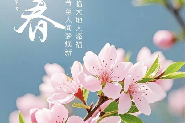 2016年立春是几月几号2月4日 2016年立春是农历哪一天