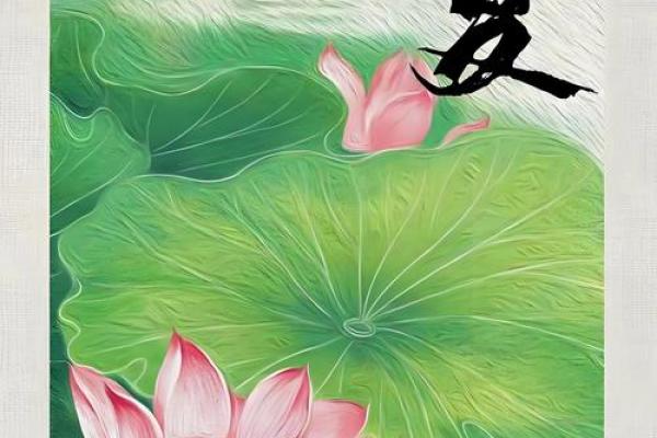 立夏是几月几号2024年 立夏节气2024年时间查询 立夏是几月几号2024年 立夏节气2024年时间查询