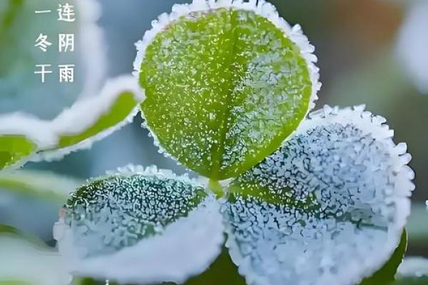 今年的霜降是几月几号2023 霜降节气是哪一天2023