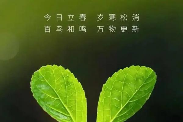 2019年立春是几月几日几点几分呢 2019年立春是几点几分开始