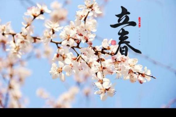 2023年立春时间 今年立春具体时间几点几分