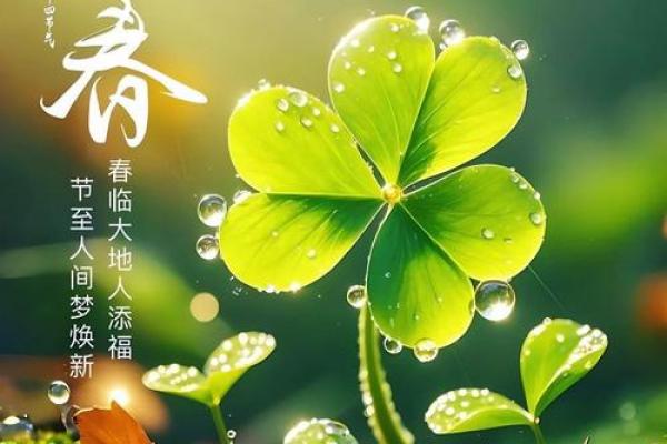 立春文案说说200句 立春祝福语简短精辟