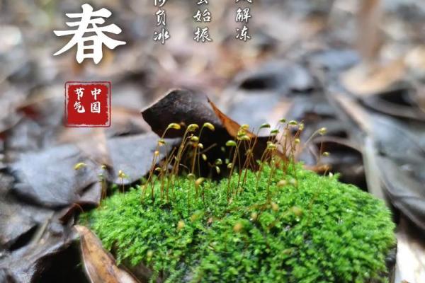 2023年立春准确时间 今年立春具体时间几点