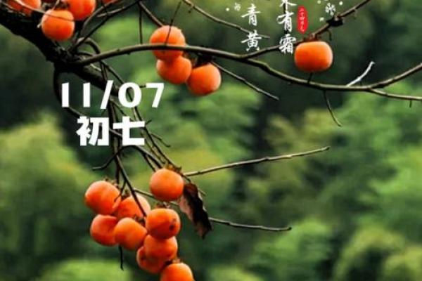 2018立冬是几月几日 立冬节气2018年时间