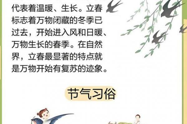 2025年立春当天哪些人要躲春 立春躲春的具体时间和方法