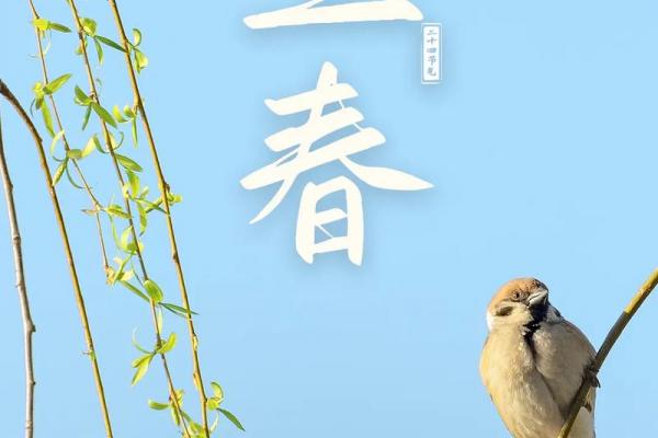 2021几点立春具体时间 2021立春是几点几分开始