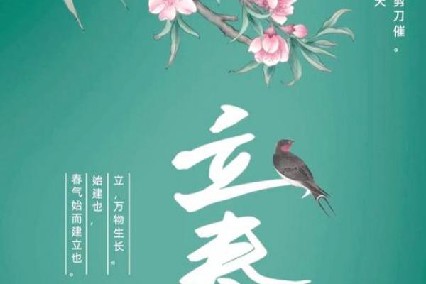 2024年立春准确时间表 2024年立春具体时间查询