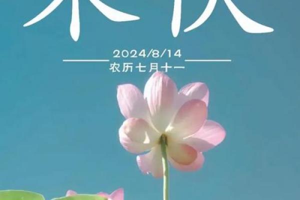 末伏是几月几号2023年 末伏养生注意事项