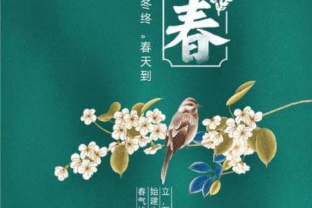 立春寓意着什么2023年 2023年立春禁忌和习俗