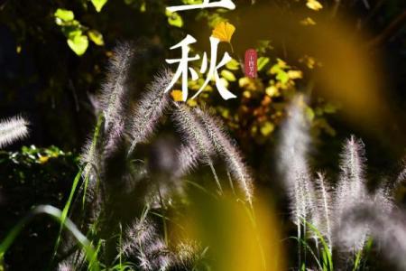 几点立秋2023年早秋还是晚秋 今年立秋是早秋还是晚秋