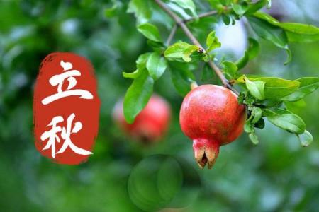 2021年8月7日几点立秋 今年立秋是几点几分