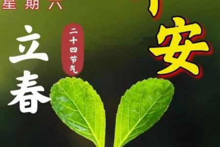 立春祝福语简短一句话 立春祝福语10字以内