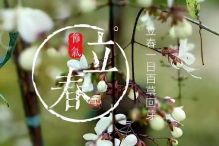 2022年有立春吗 2022年立春是农历哪一天