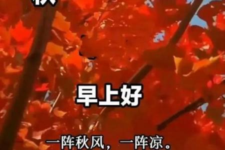 2023立秋时间几点几分 今年立秋是几点几分开始