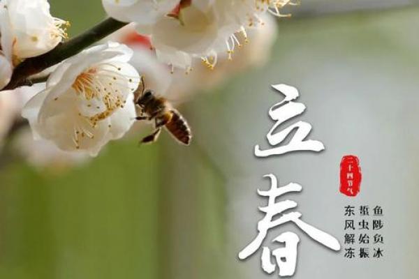 2020年几点立春 2020年立春是几点几分