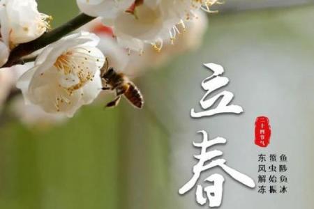 2020年几点立春 2020年立春是几点几分