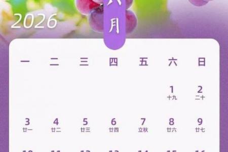 2026年11月求财吉日日历，精准择日助您财源广进