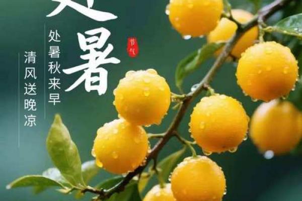 2021立秋下一个节气是什么 2021年处暑具体日期