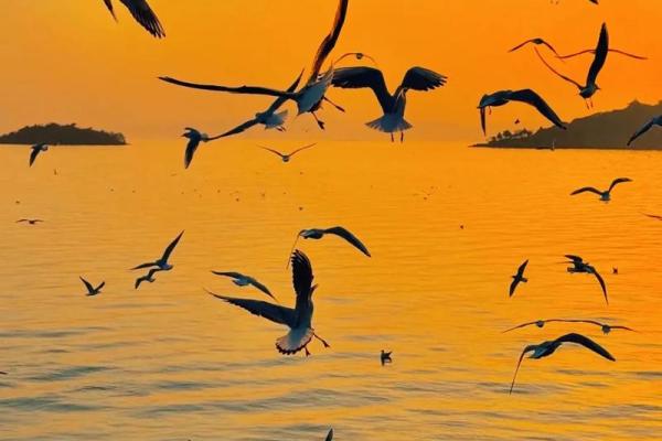 2024年8月份出行最好三个日子，错过再等一年