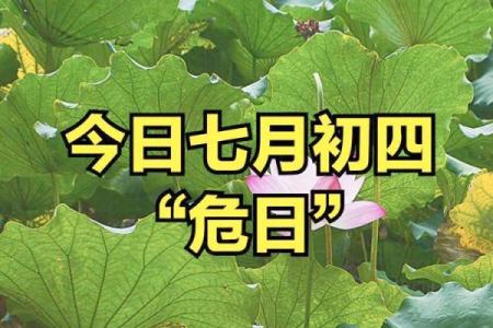 2024年7月余事勿取吉日推荐，本月宜忌早知道