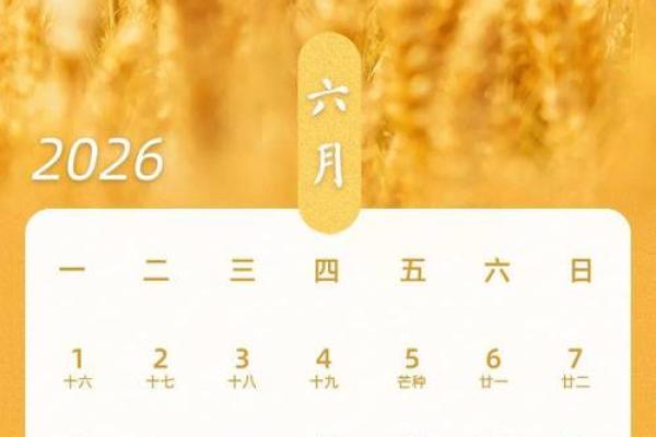 提车吉日2026年8月