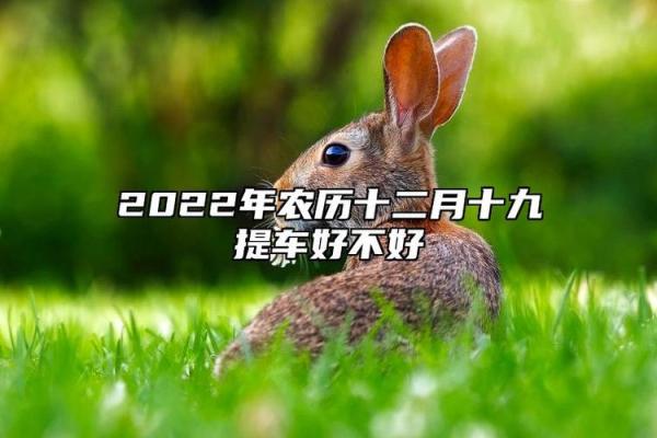 2025年12月免费提车吉日推荐，如何选择最旺运势的提车日期