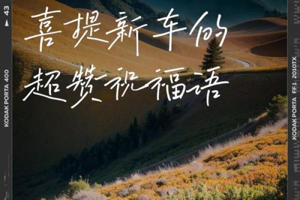 提车什么日子好 提车什么日子好
