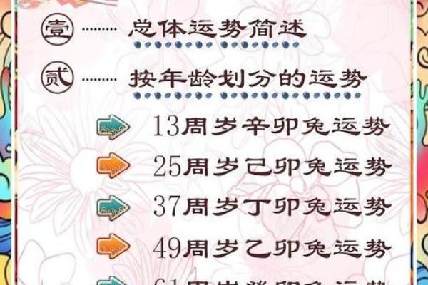属兔的车主注意！农历几月提车最吉利？附详细黄道吉日推荐