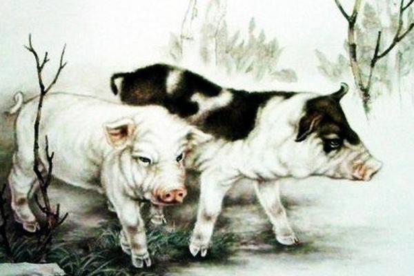 生肖属猪的车主提车吉日怎么选？需要注意哪些风水禁忌？