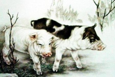 生肖属猪的车主提车吉日怎么选？需要注意哪些风水禁忌？