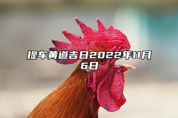 11月份提车吉日 11月提车黄道吉日查询